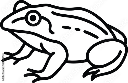 african bullfrog line arts with white background