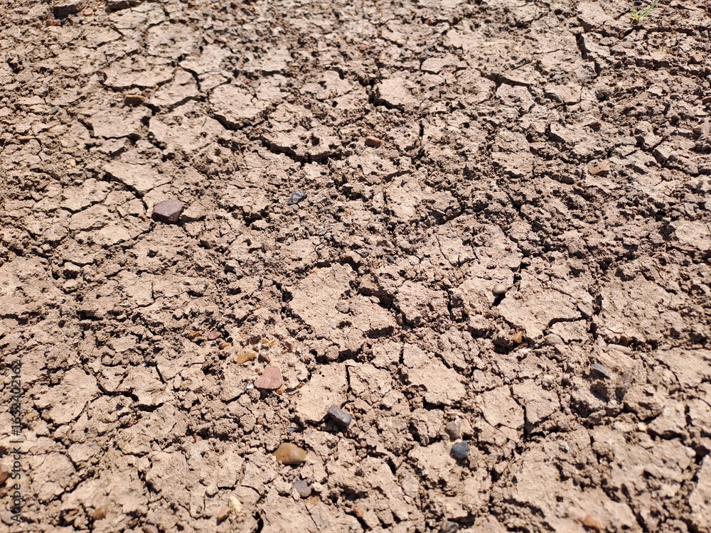 Fototapeta premium dry cracked earth