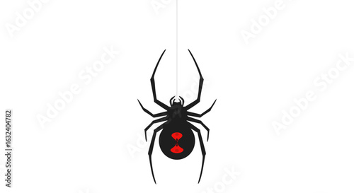 Stylized Black Widow Spider Descending on a Single Strand Against White Space Background