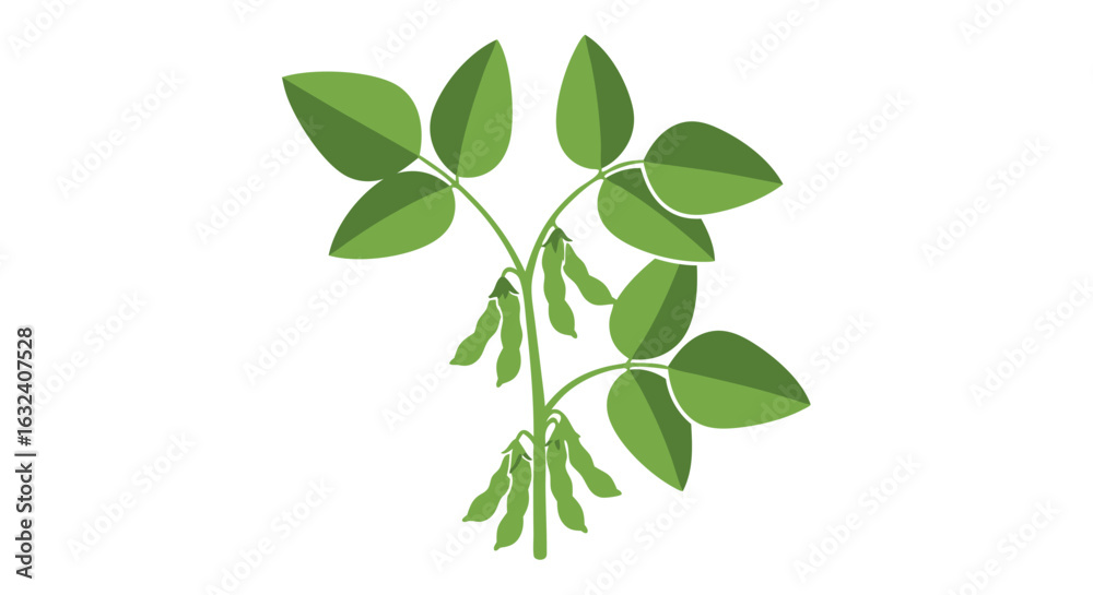 Fototapeta premium Stylized depiction of a soybean plant featuring vibrant green leaves and developing pods on white background