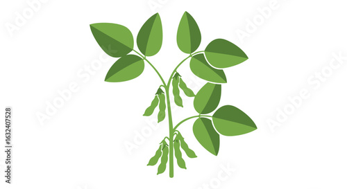 Stylized depiction of a soybean plant featuring vibrant green leaves and developing pods on white background
