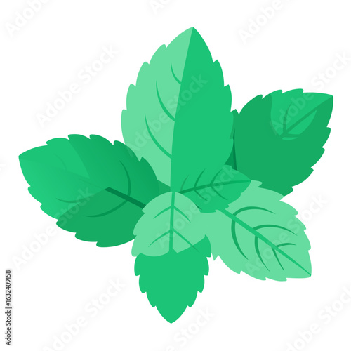 fresh mint leaves