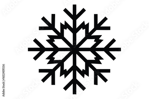 snowflake vector icon