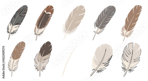 Elegant Feather Collection: A Variety of Detailed Bird Plumes in Natural Colors and Styles, perfect for your creative project
