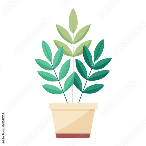 plant in pot