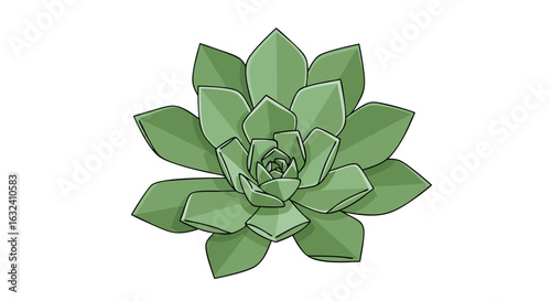 Isolated illustration of a vibrant green succulent plant, perfect for design projects and botanical themes, presented against a plain background
