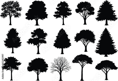 Black tree silhouettes set, various forest trees shapes, leafless and leafy, pine and broadleaf, natural nature vector illustration collection