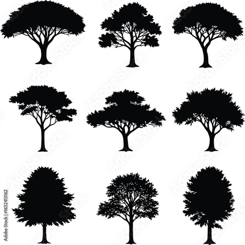 Collection of black tree silhouettes, isolated forest elements, natural tree shapes, vector foliage illustration, botanical clipart, landscape design assets