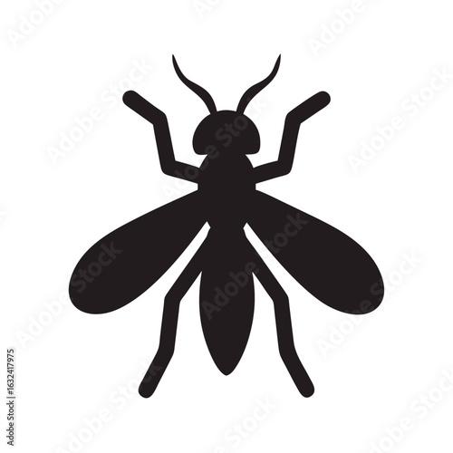 Black fly isolated on white background, a common insect of summer, representing nature, wildlife, and potential nuisance as a pest and vector of disease