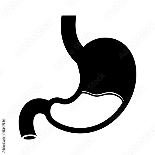 Vector illustration of illustration of human stomach isolated on white background for medical use