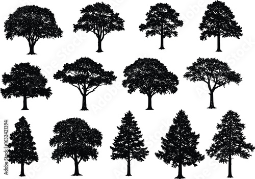 Isolated tree silhouettes collection, black vector trees, natural forest shapes, outdoor landscape elements, botanical illustrations, detailed tree design set