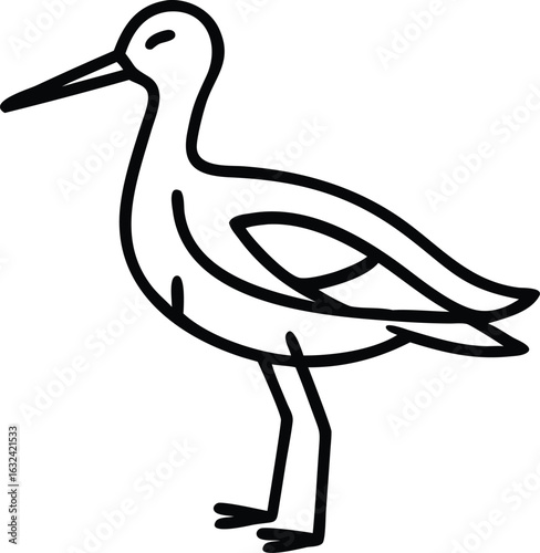 avocet line arts with white background. Pied avocet, Recurvirostra avosetta,  black and white wader, stilt family, isolated on white