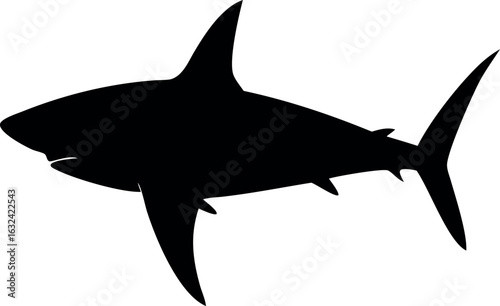 Aggressive shark illustration with sharp teeth and fins