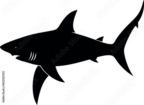 Aggressive shark illustration with sharp teeth and fins