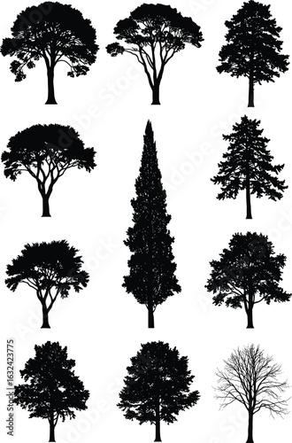 Silhouette collection of twelve different trees, isolated black tree shapes, natural elements, landscape design, botanical variety, seasonal diversity illustration