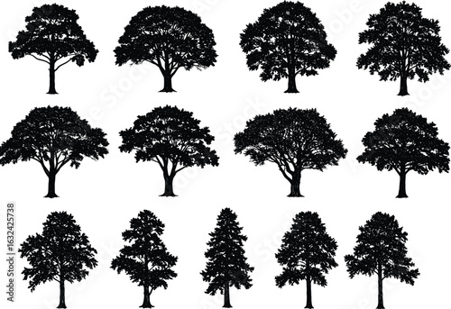 Tree silhouette vector collection, black isolated trees, natural forest elements, botanical illustrations, outdoor landscape design, leafy tree graphics set