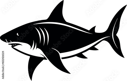 Aggressive shark illustration with sharp teeth and fins