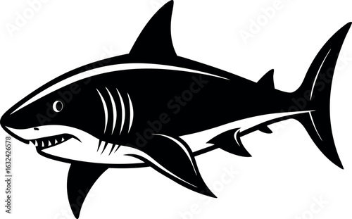 Aggressive shark illustration with sharp teeth and fins