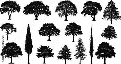 Tree Silhouettes Collection, Vector Set of Deciduous and Evergreen Trees, Nature Graphic Elements for Design, Forest Illustration, Landscape Art