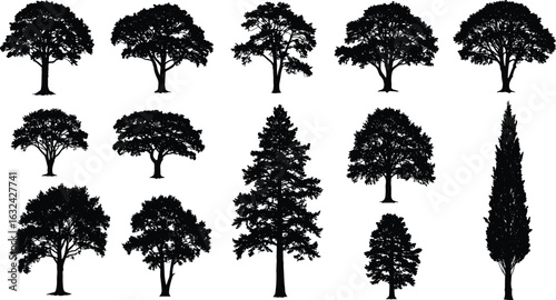 Photos Tree Silhouettes Vector Set, Diverse Deciduous and Coniferous Trees, Black Natur
