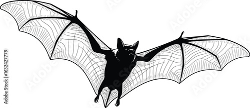 Flying bat with detailed wings, a nocturnal creature of the night, perfect for Halloween themes and spooky designs
