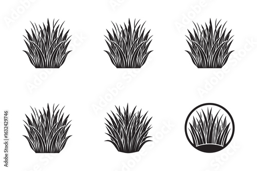 Black grass tufts vector illustration with simplistic design on a white background for design elements and landscaping needs