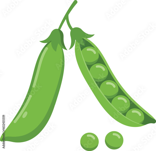 Fresh green peas in pods healthy food illustration