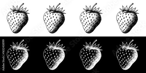 Isolated vector image of strawberries in pencil and chalk drawing style, two variants on transparent and black backgrounds, seamless border
  
