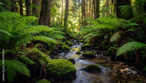 Sunlit Forest Stream Flowing Through Lush Ferns and Mossy Rocks
