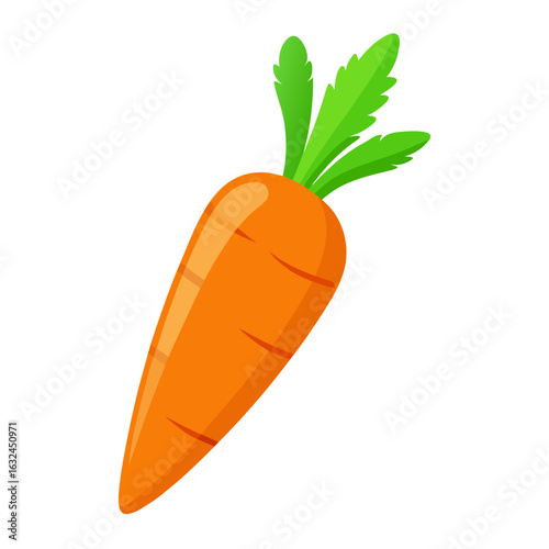 carrots vector illustration