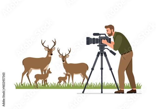 Man films 2 adult 2 baby deer in grass using a tripodmounted camera