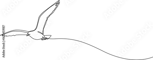 continuous single line drawing of seagull flying, line art vector illustration