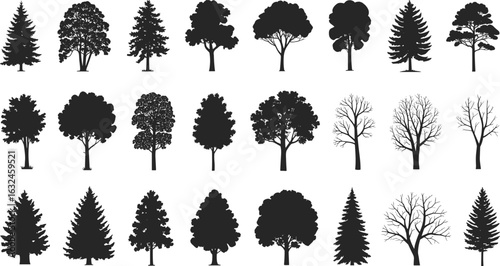 Set of 25 black tree silhouettes with detailed branches and leaves, ideal for forest, seasonal, nature, landscape, and outdoor design