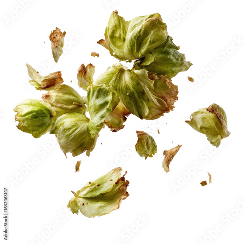 Scattered, dried hop cones