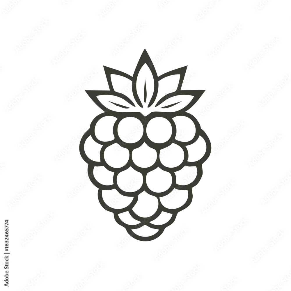 Obraz premium Simple Line Art Raspberry Icon with Green Leaves