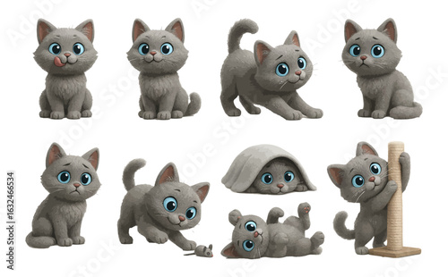 Adorable gray kittens in various poses