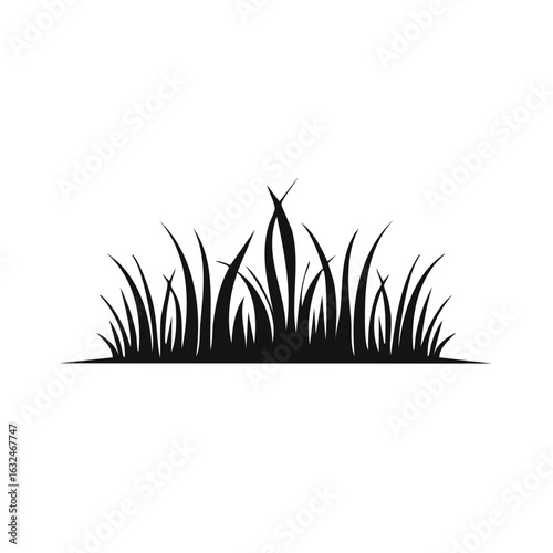 Silhouette Grass Clump Flat Design Vector, Turf Isolated on White Background, Lawn Border