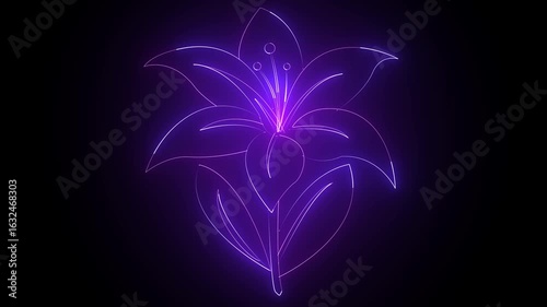 Glowing Purple Floral Animation on Black Background in 4K
