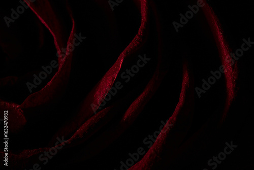 An abstract, close-up view of a dark red rose petals with a velvety or satin texture, with subtle sparkling highlights, creating a pattern of undulating lines.