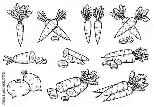 A variety of carrot illustrations, each with unique features, isolated on white background perfect for culinary, gardening, and healthy eating themes