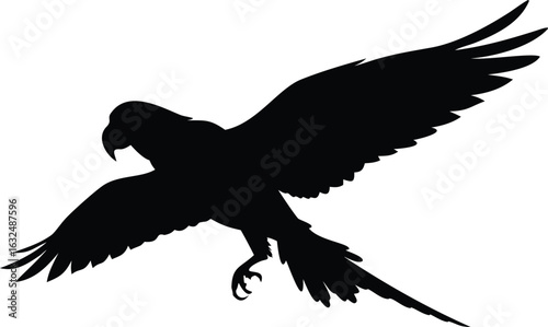 Black silhouette of a parrot showing wings, feathers, and beak against a white background