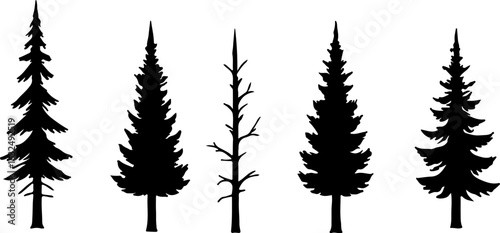 Collection of five distinct evergreen tree silhouettes in a row on a white background