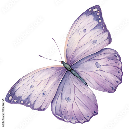 Violet butterfly on isolated white background watercolor illustration lilac beauty art PNG delicate wings nature painting transparent image