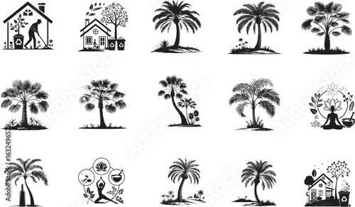 set of palm trees