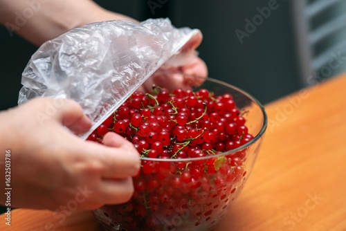 Wallpaper Mural Female hands covering glass bowl of red currants with elastic-sealed plastic bag for fresh berry preservation at home Torontodigital.ca