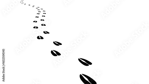 Photography Path footprints of horse, cow, goat, sheep, deer, elk, antelope
