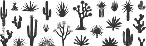 Silhouette collection of cactus plants and desert flora, black botanical shapes, succulent silhouettes, tropical dry climate plants, graphic illustration nature design set