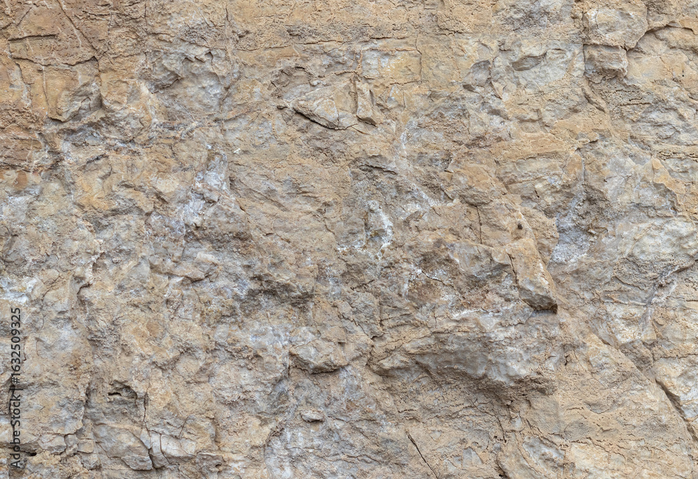 Fototapeta premium the structure of the rock surface in the section, quarrying in the natural environment, sunny day