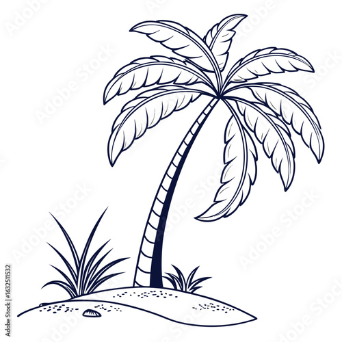 palm tree on a white background