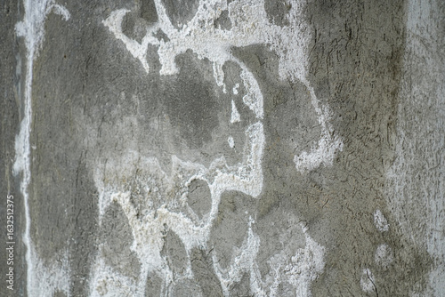Rough, textured concrete wall details with distinctive white stains caused by efflorescence or salt deposits. Natural grunge and abstract patterns formed by weathering and mineral deposits.